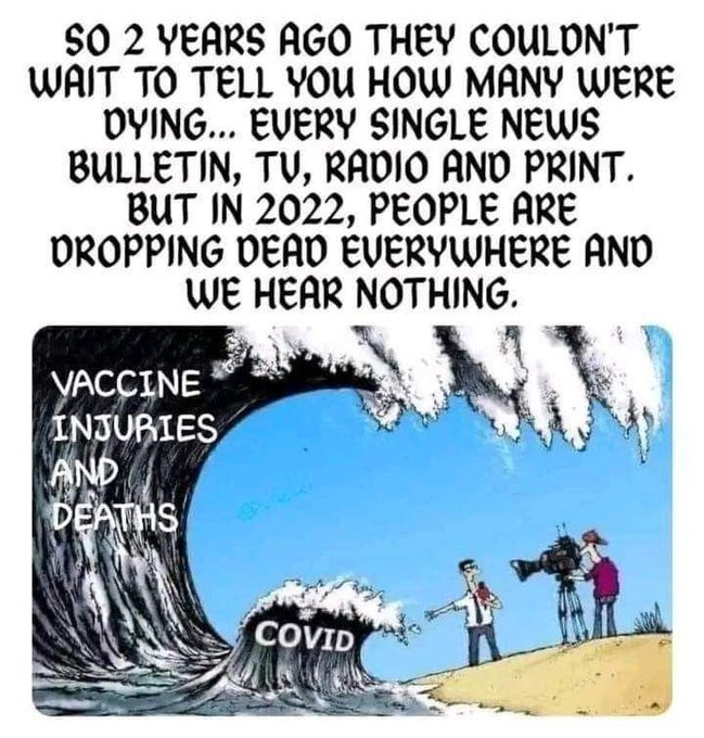 Mainstream Media during 2020-2021: COVID DEATHS ARE CAUSED BY THE UNVACCINATED! - MSM 2022-2023: Strangely silent about vaccine injuries & DEATHS...