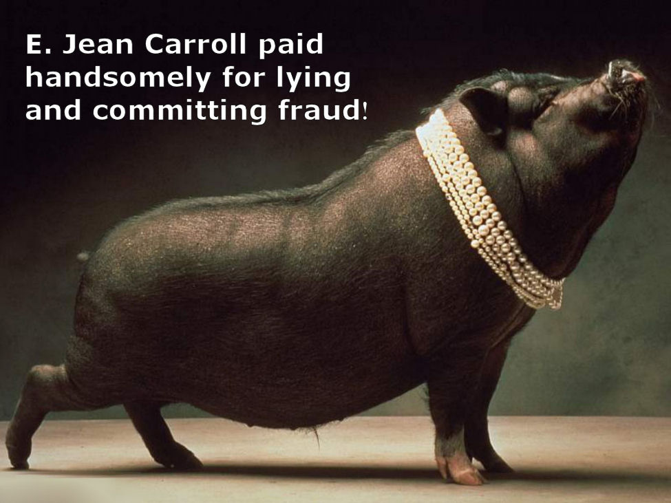 Pig with pearls. E. Jean Carroll paid handsomely for lying and committing fraud!