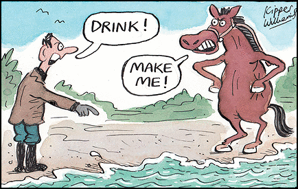 You can lead a horse to water, but you can't make her drink.