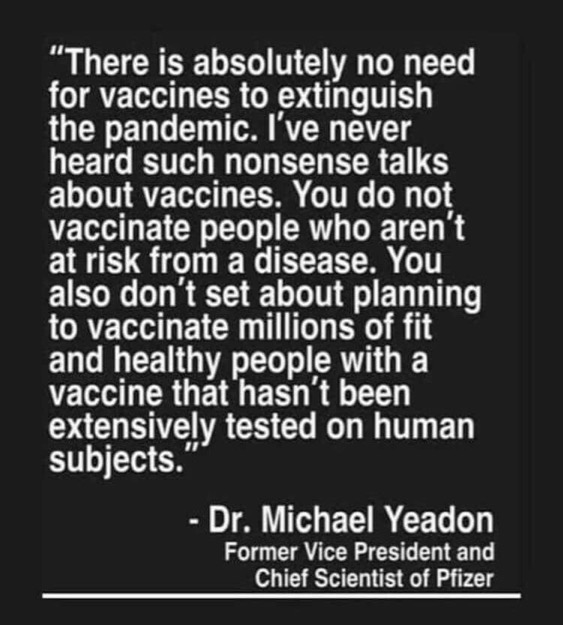 Covid - Chief Scientist of Pfizer - no need for vaccines to extinguish the pandemic