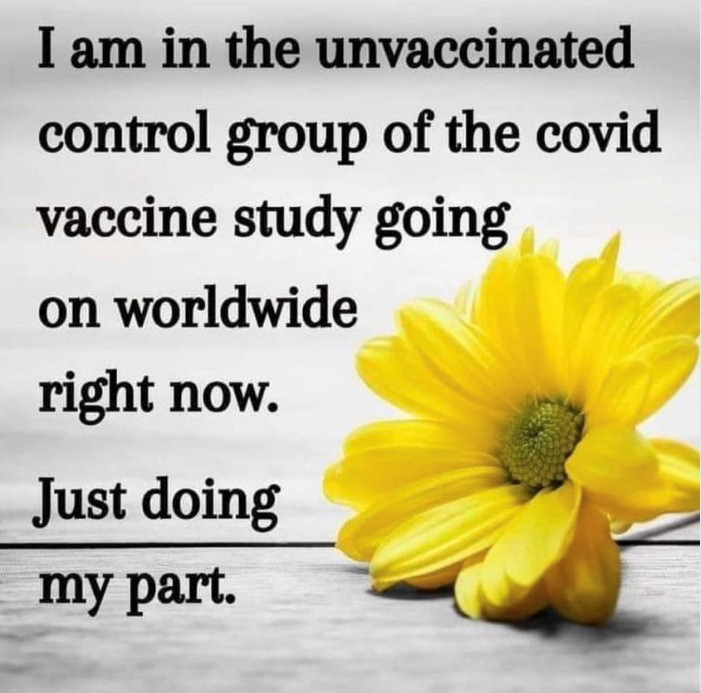 I am in the unvaccinated control group of the covid vaccine study going on worldwide right now. Just doing my part.