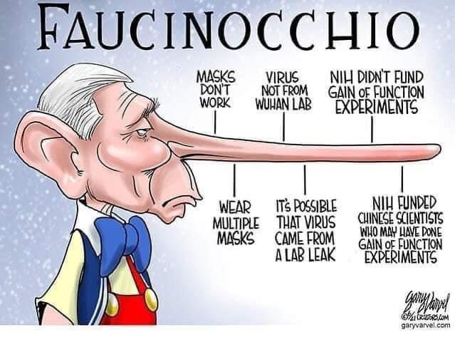 Faucinocchio - Proven Liar and Hypocrite