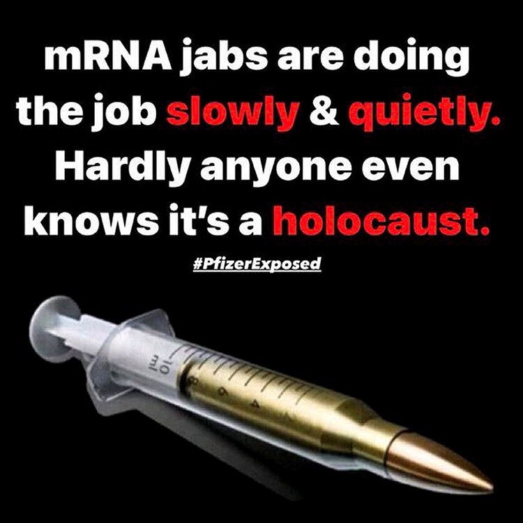 mRNA jabs are doing the job slowly and quietly. Hardly anyone knows it is a holocaust