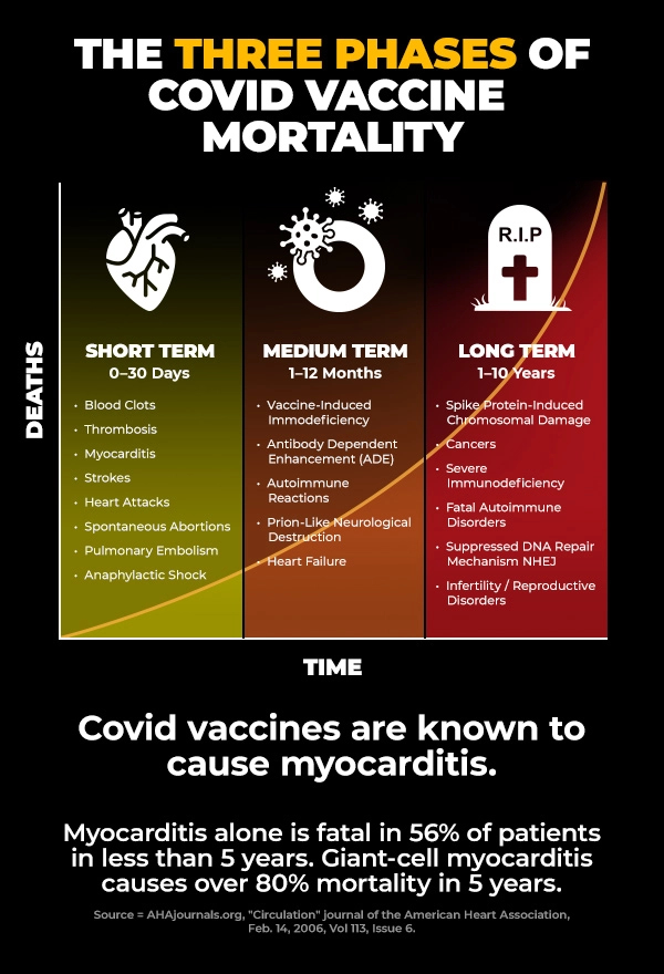 Vaccines kill people in three phases - taking as long as a decade for all the vaccine-induced cancer deaths to play out