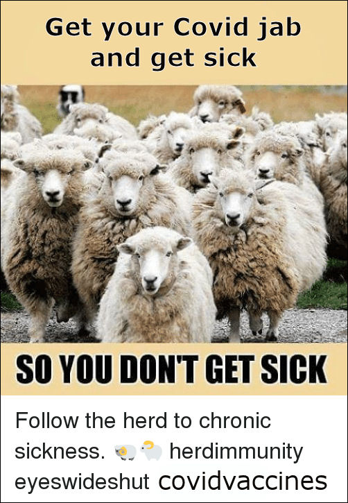 Follow the herd to chronic sickness...