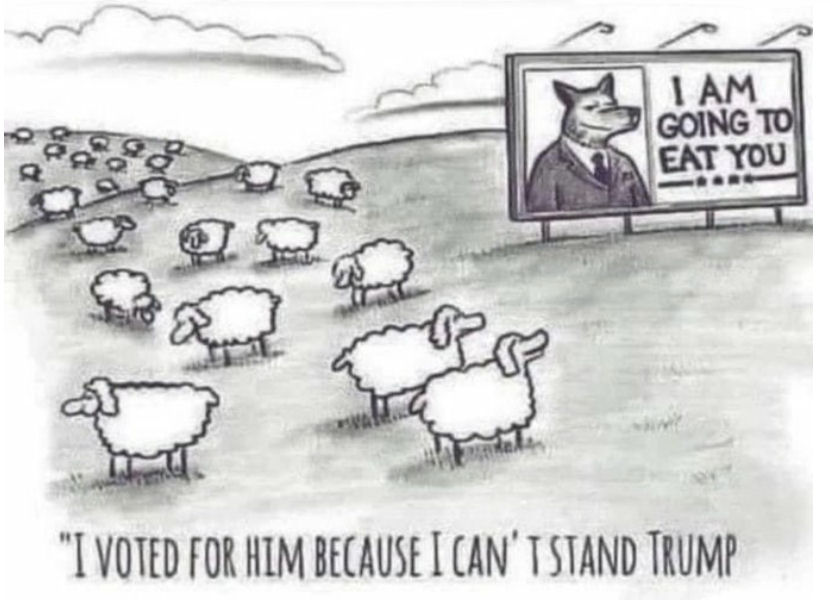 I Voted for the Wolf because I cannot stand Trump