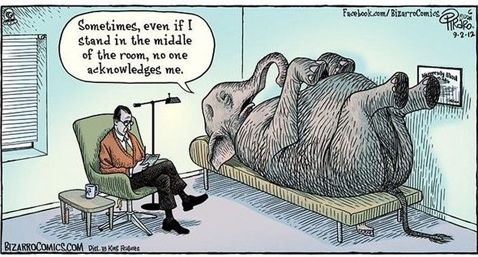 The elephant in the room...