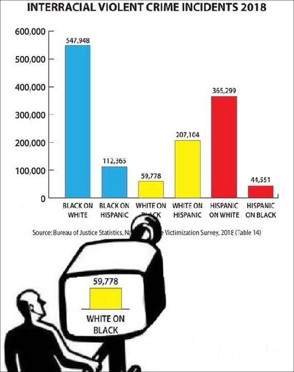 Fake News Media: Selective statistics prove that Whites commit more violence on Blacks - because we say so!