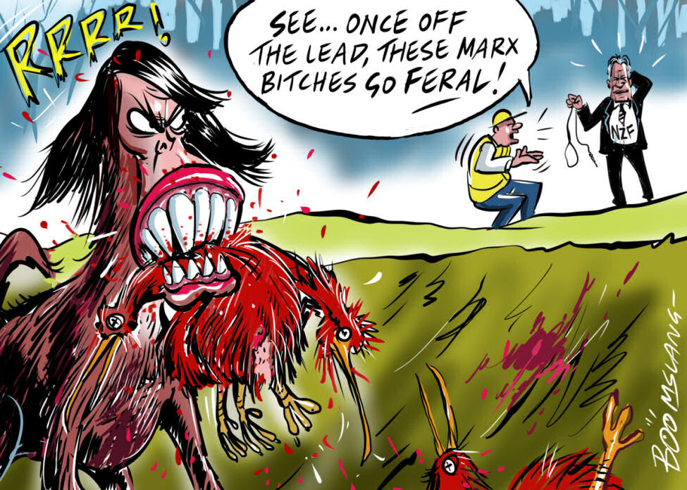 Jacinda is a Feral Marxist Bitch - The Bill of Rights Violated - A Nation in Crisis
