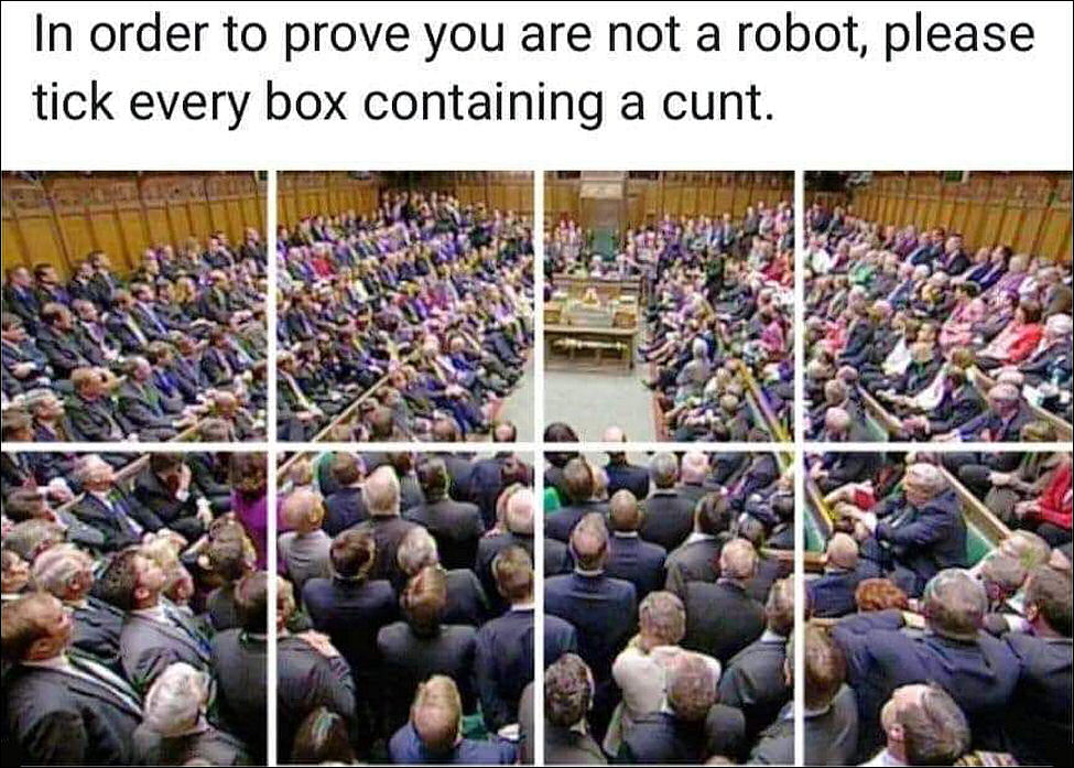 In order to prove you are not a robot, please tick every box containing a cunt!