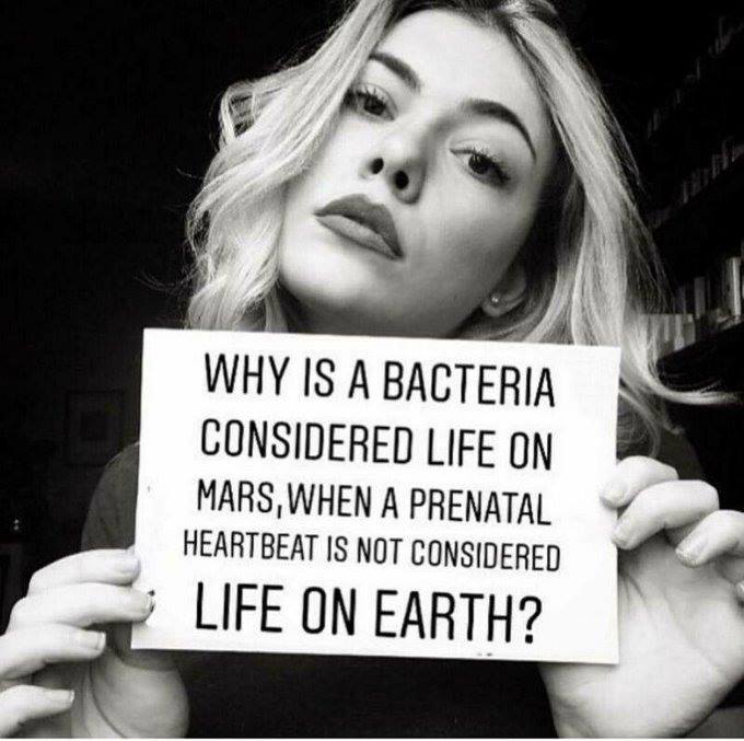 Why is a BACTERIA Considered LIFE on MARS? - when a PRENATAL heartbeat is not considered LIFE ON EARTH?